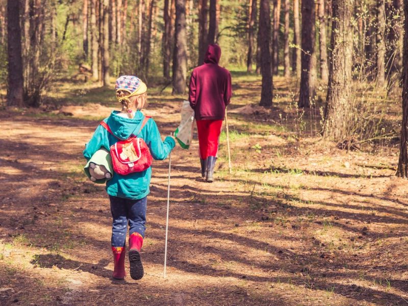 vitolda-klein-6n0R0yVE64g-unsplash